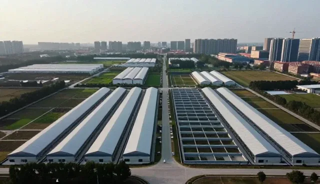 账号代运营如何解决学校与医院中的实际问题